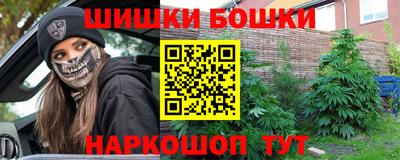 молекула духа Будённовск