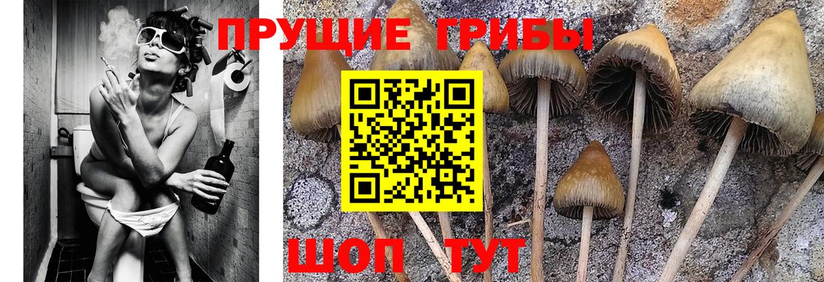 Галлюциногенные грибы Magic Shrooms  Вход с VPN  Избербаш 