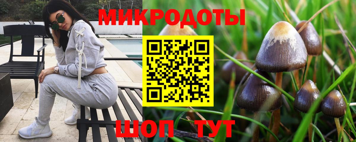Галлюциногенные грибы Magic Shrooms Избербаш